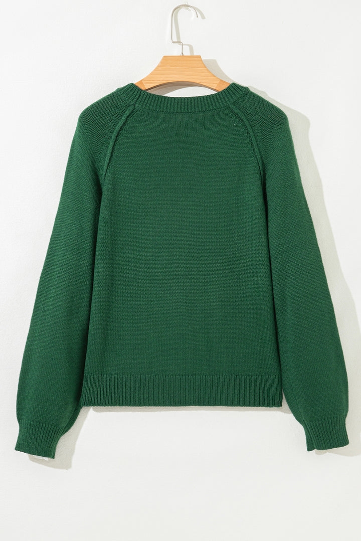 Raglan Sleeve Crew Neck Sweater