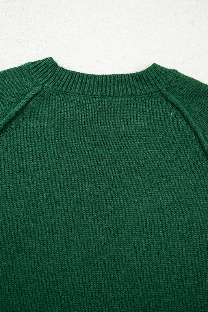 Raglan Sleeve Crew Neck Sweater