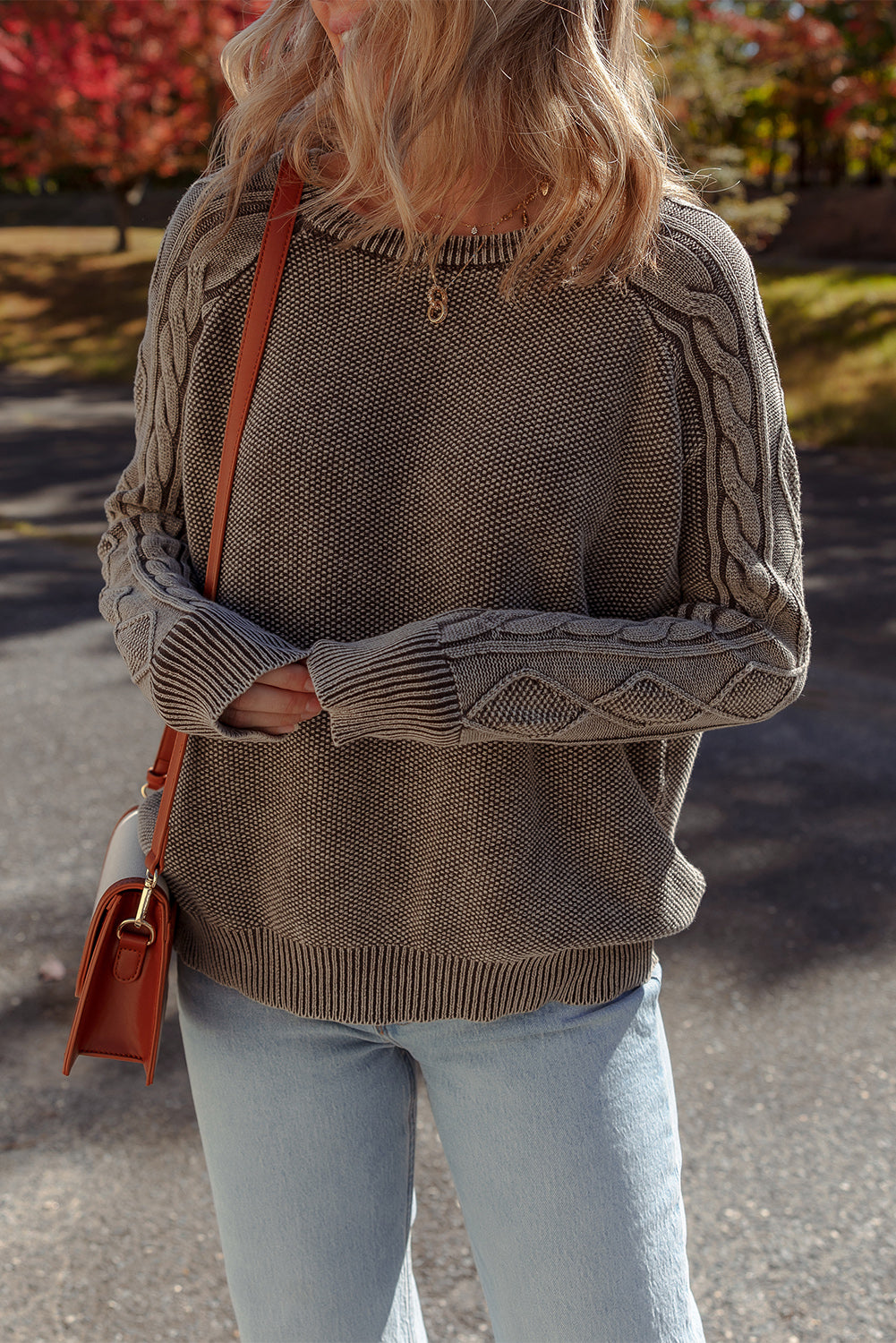 Contrast Cable Knit Sleeve Casual Sweater