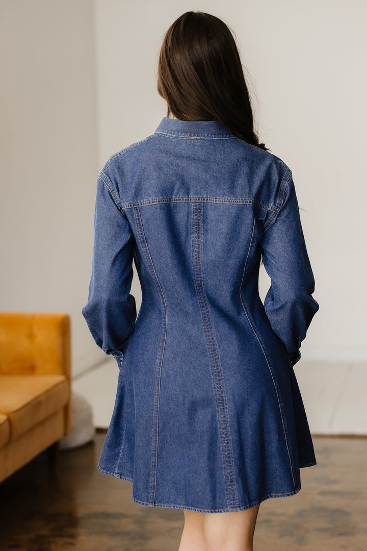 Denim Shirt Collar Long Sleeve Flared Mini Dress