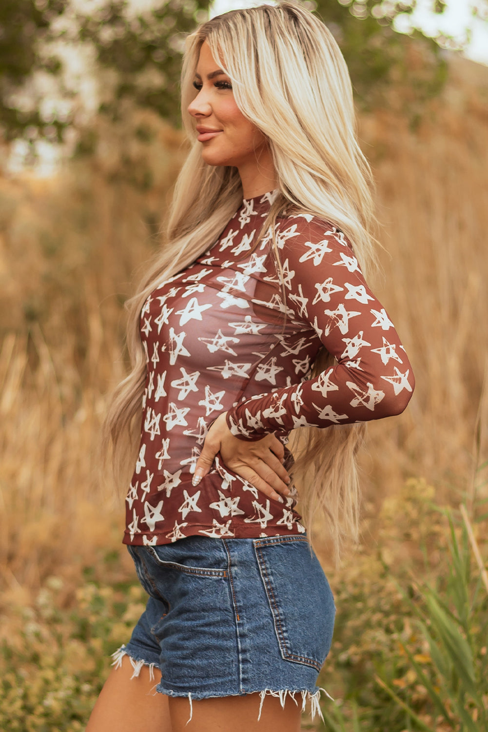 Mesh Star Print Mock Neck Sheath Long Sleeve Top