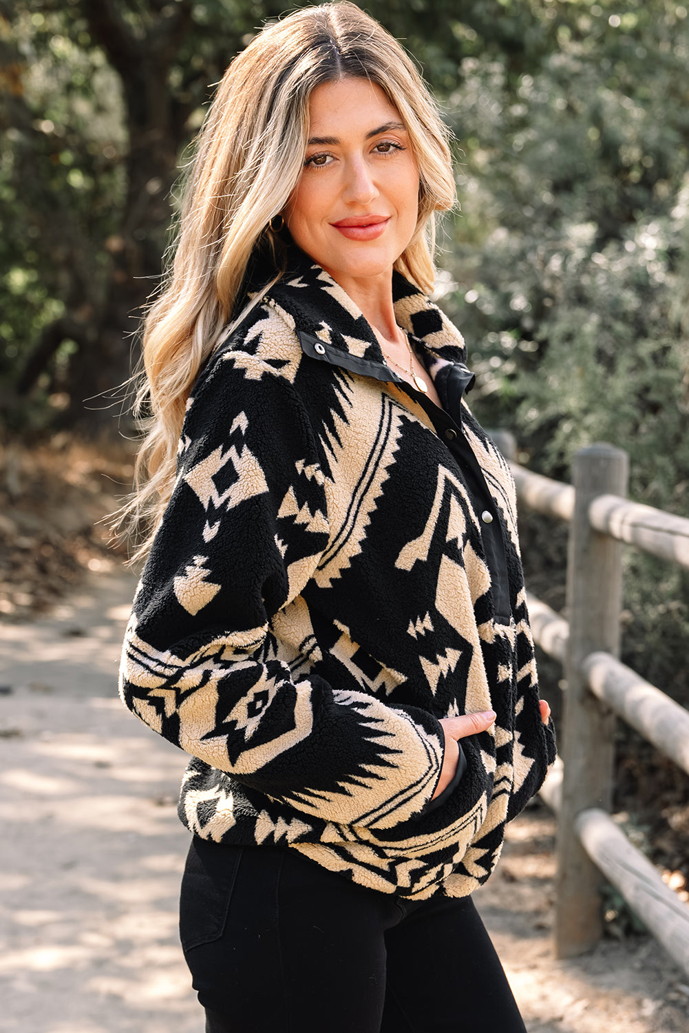 Western Aztec Half Placket Plush Sweatshirt