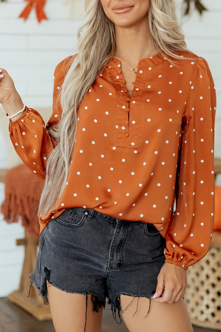 Brown Polka Dot V Neck Long Sleeve Blouse