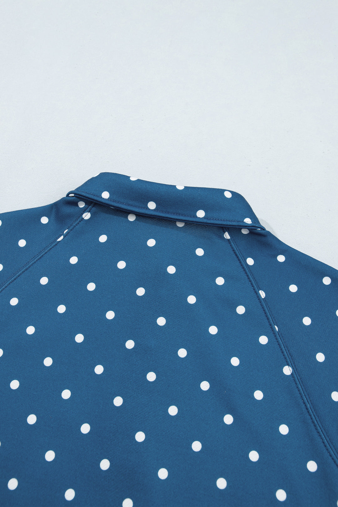 Blue Polka Dot Print Metal Button Collar Casual Pullover Sweatshirt