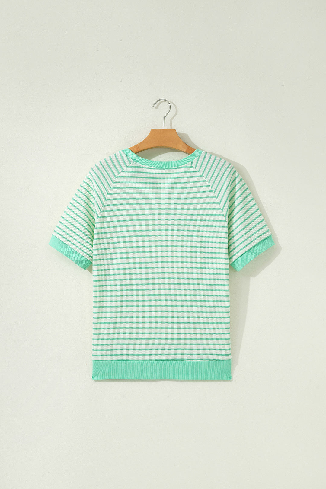 Green Stripe Colorblock Trim Round Neck Short Sleeve Tee