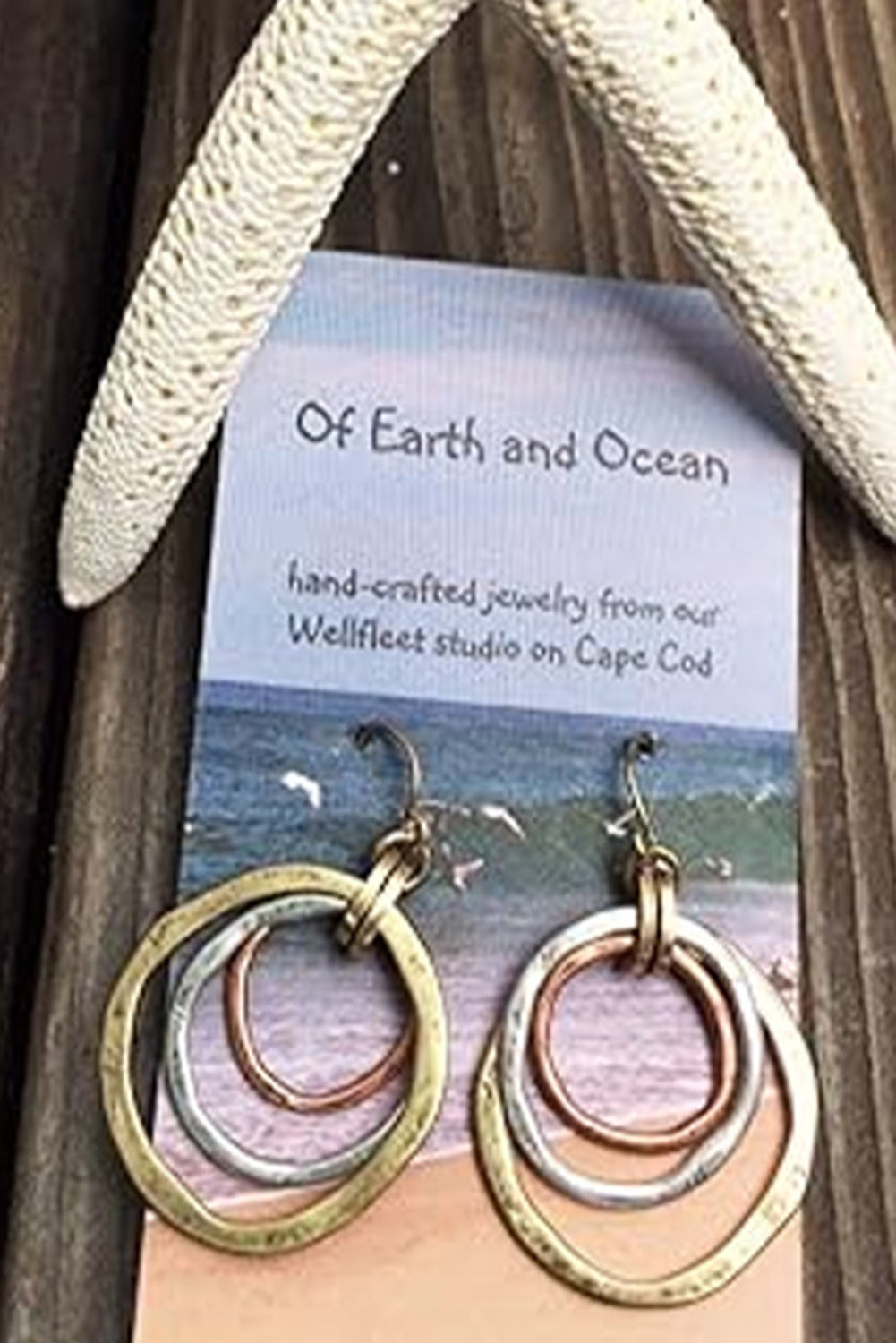 Vintage Triple Circle Alloy Hook Earrings