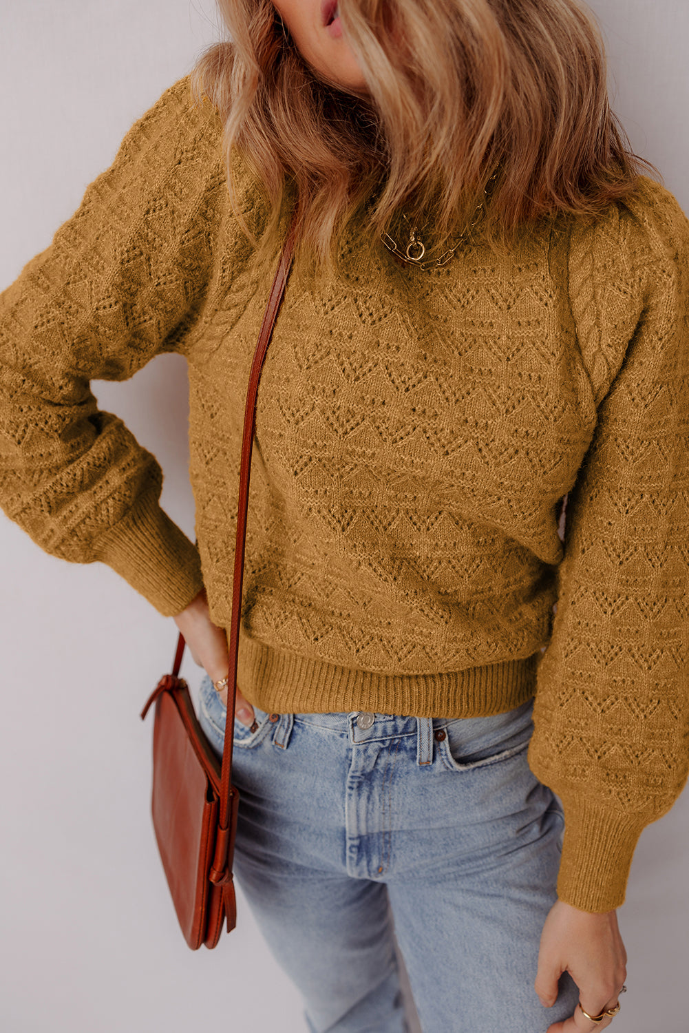 Hollow Out Crochet Ribbed Edge Balloon Sleeve Sweater