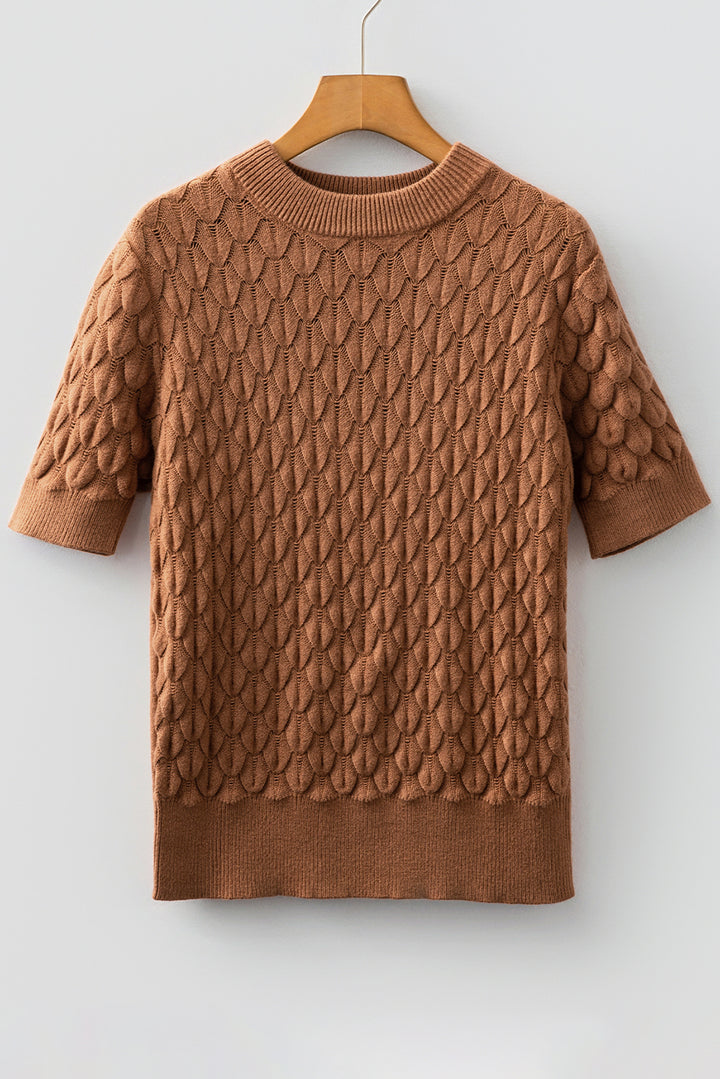 Fish Scale Textured Knit Ribbed Crew Neck Short Sleeve Sweater