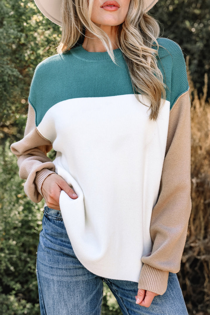 Color Block Plain Ribbed Knit Baggy Sweater