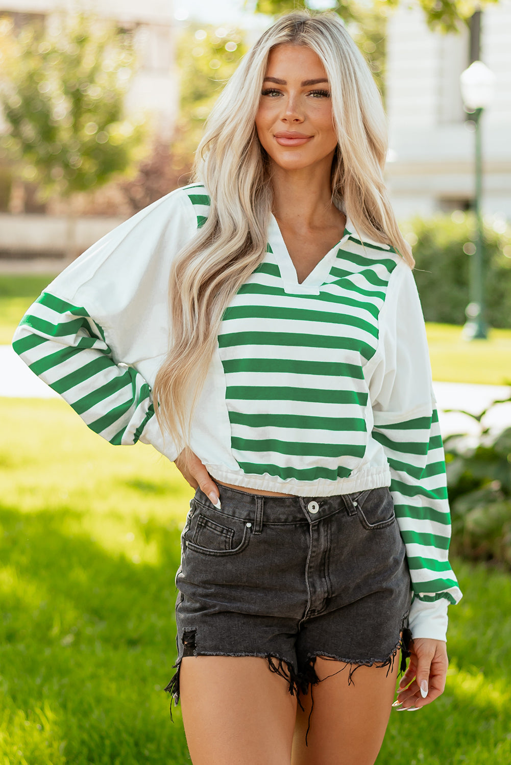 Colorblock Collared V Neck Cropped Knit Pullover