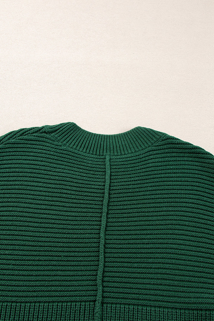 Textured Knit Crewneck Lantern Sleeve Sweater
