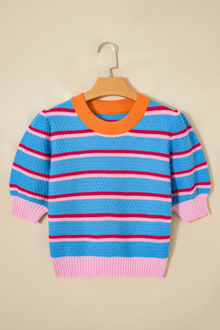 Sky Blue Stripe Colorblock Trim Half Sleeve Sweater Top