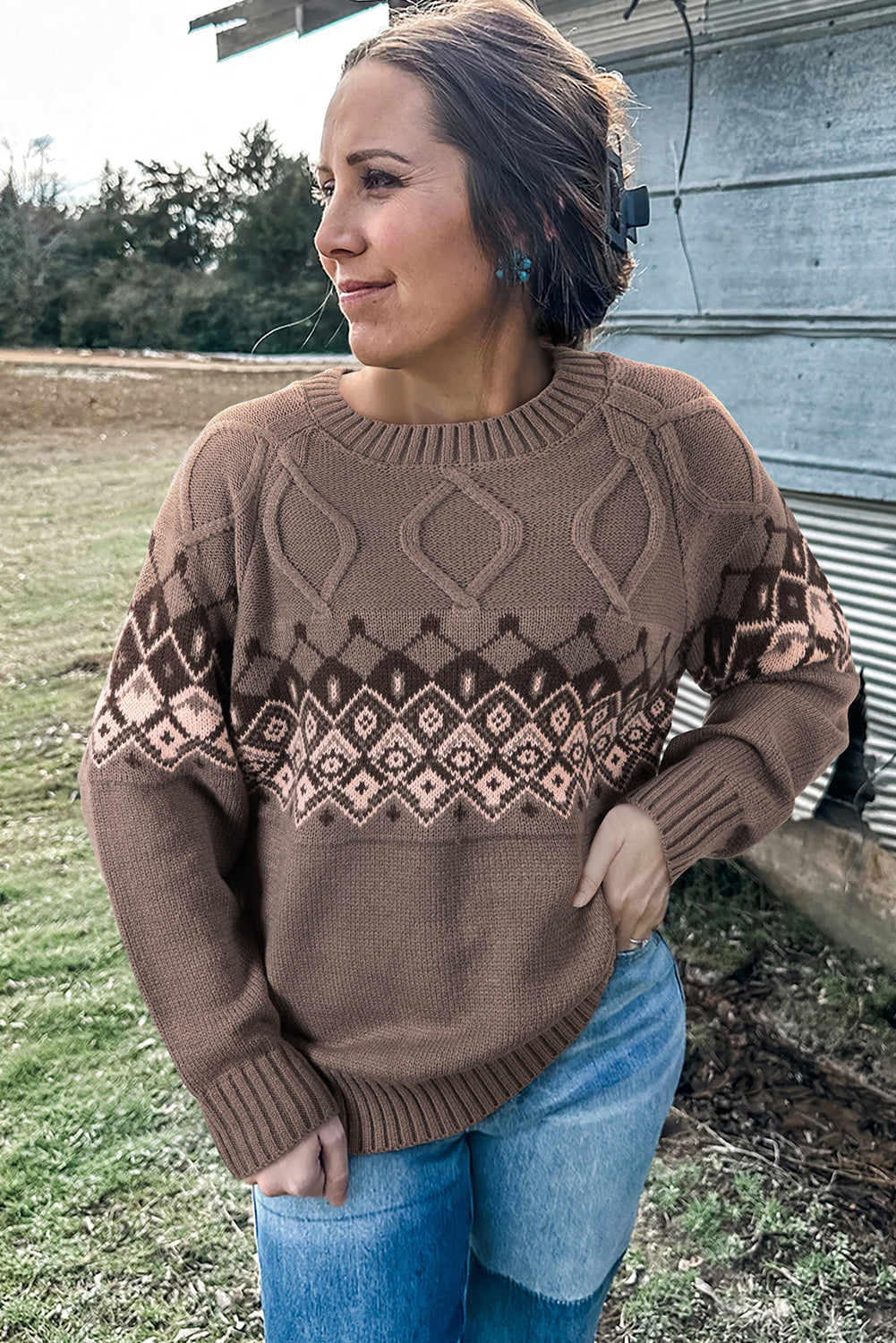 Western Geometric Patterned Crew Neck Knitted Sweater