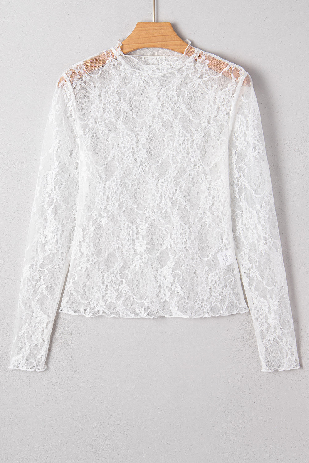 Sheer Lace Mesh Mock Neck Slim Fit Long Sleeve Top
