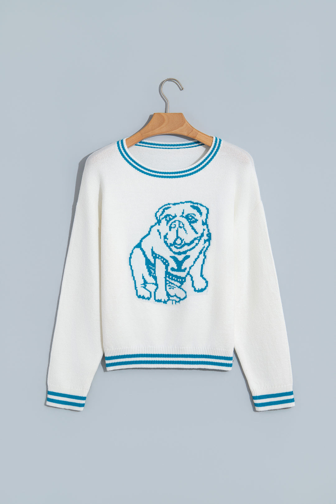Light Blue Bulldog Contrast Trim Round Neck Casual Sweater