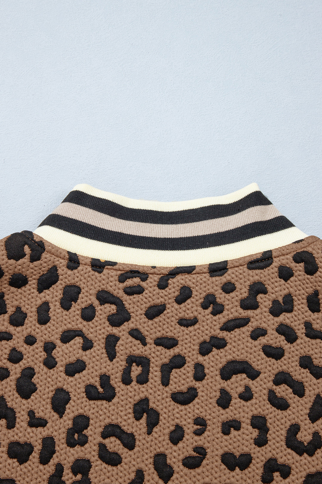 Brown Leopard Print Striped Trim Collar Long Sleeve Shift Pullover