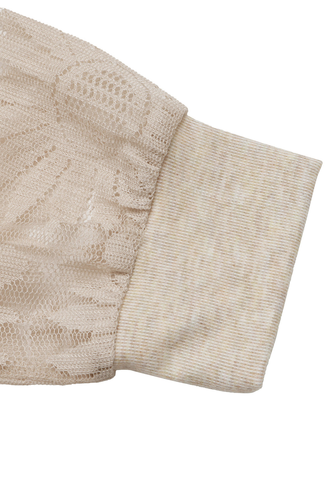 Apricot Scalloped V Neck Lace Sleeve Patchwork Elegant Bodysuit
