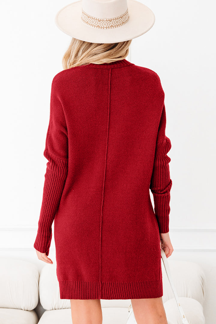 Ribbed High Neck Front Pockets Center Seam Shift Sweater Dress
