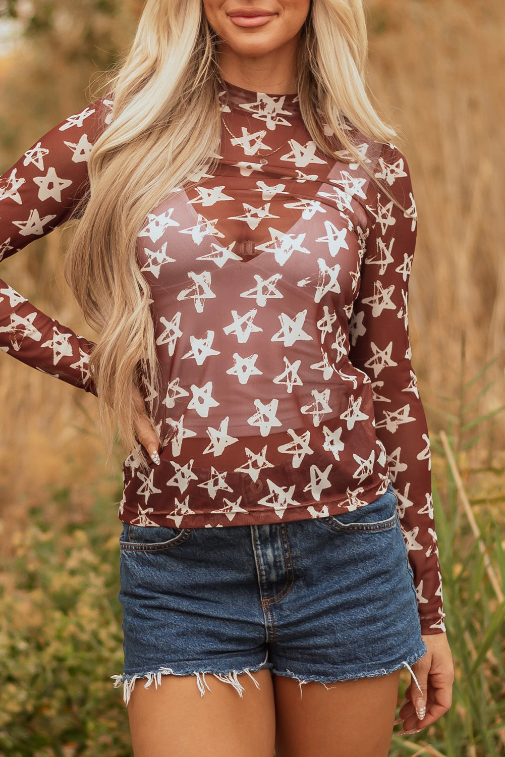 Mesh Star Print Mock Neck Sheath Long Sleeve Top
