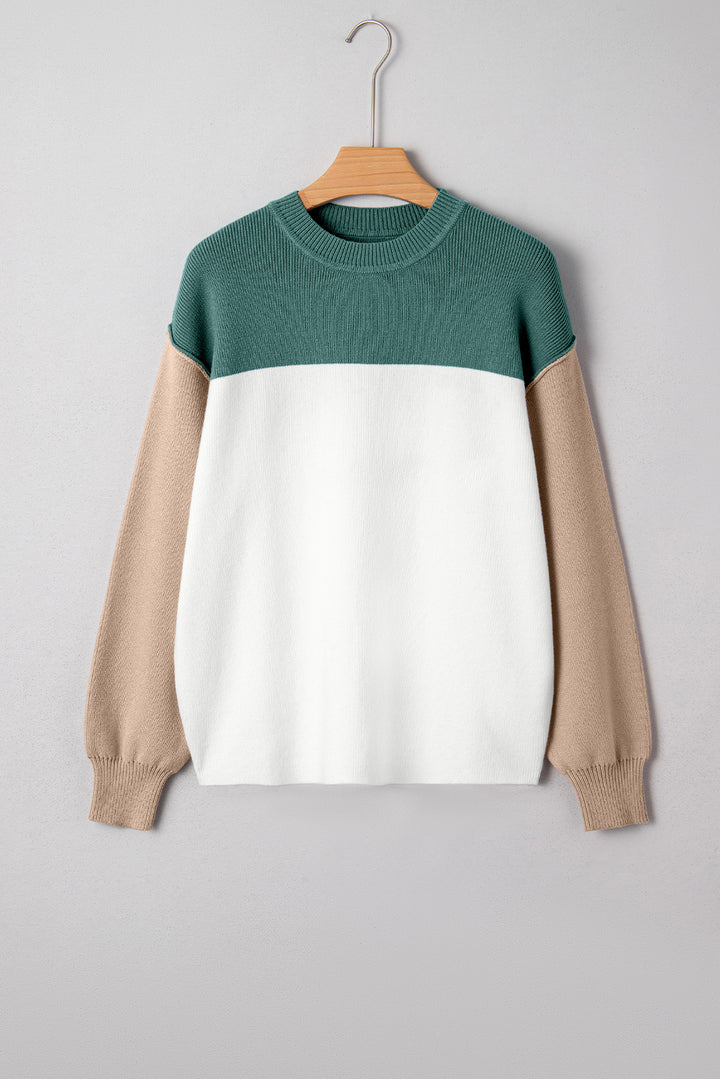 Color Block Plain Ribbed Knit Baggy Sweater