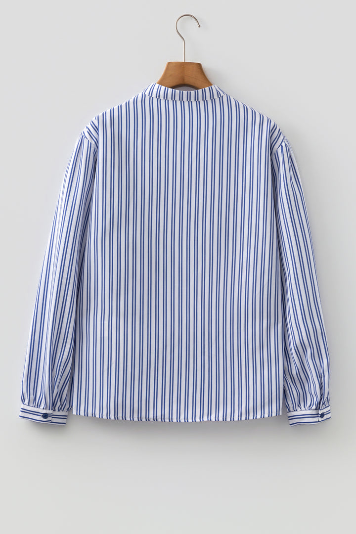 Blue Stripe Embroidered Detail Button Front Long Sleeve Shirt