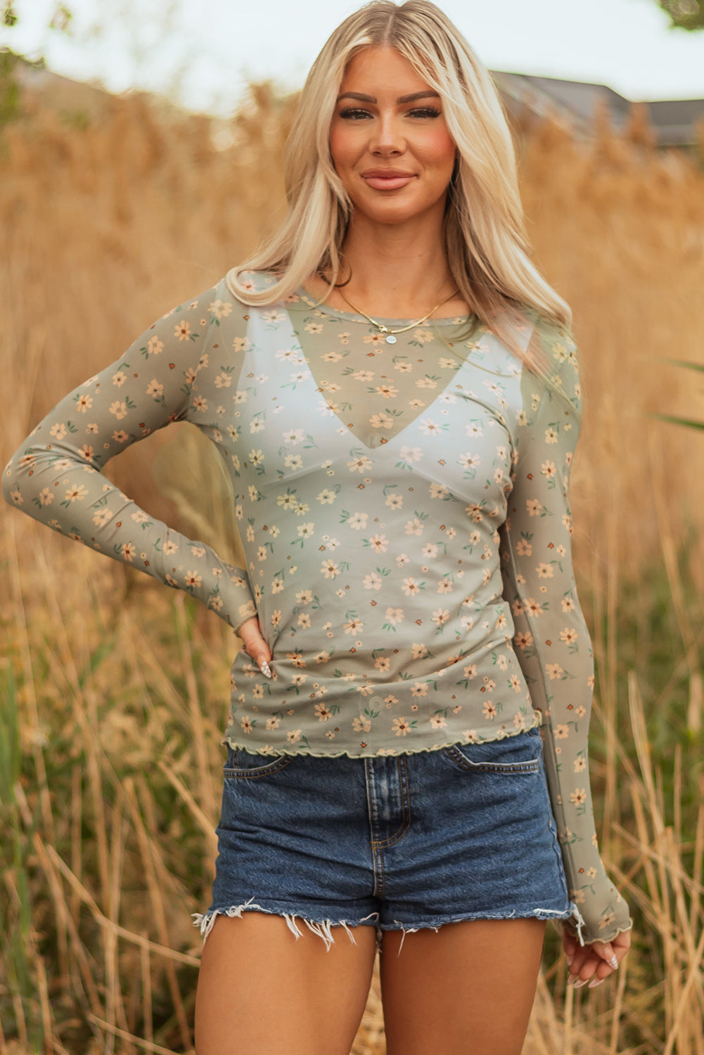 Vintage Floral Print Southern Style Mesh Long Sleeve Top