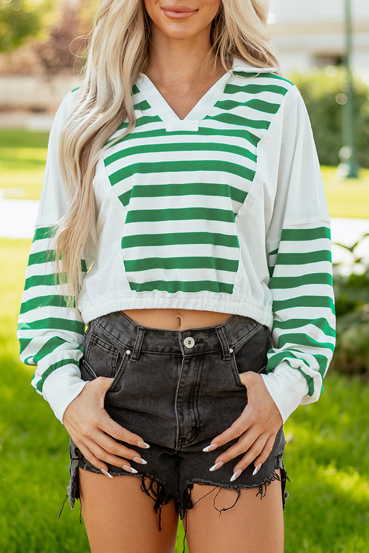 Colorblock Collared V Neck Cropped Knit Pullover