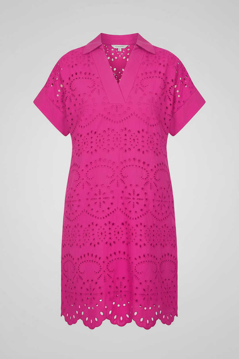 Chic Rose Red Solid Color Eyelet Embroidered Mini Dress