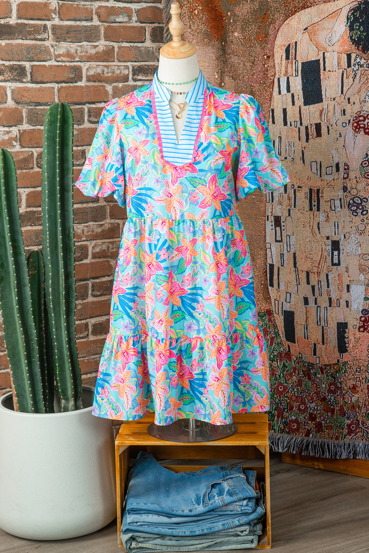 Multicolour Floral Print Contrast Scallop Striped Trim V Neck Dress