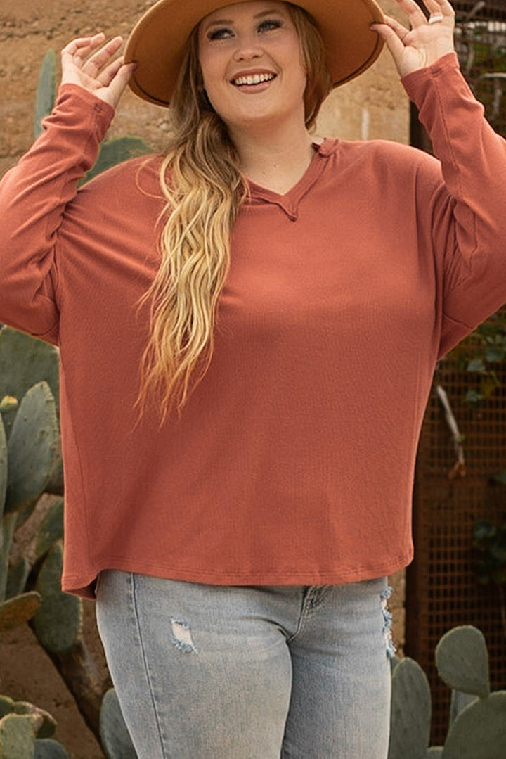 Plus Size Exposed Seam V Neck Long Sleeve Top