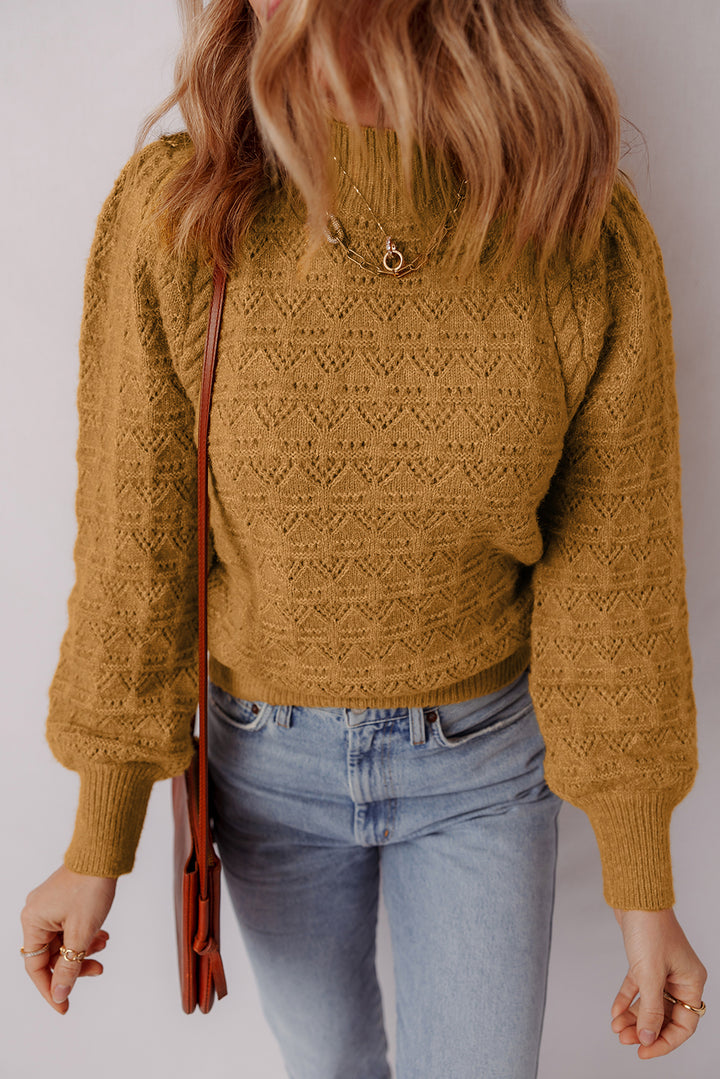 Hollow Out Crochet Ribbed Edge Balloon Sleeve Sweater