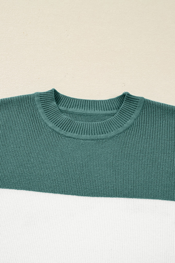 Color Block Plain Ribbed Knit Baggy Sweater