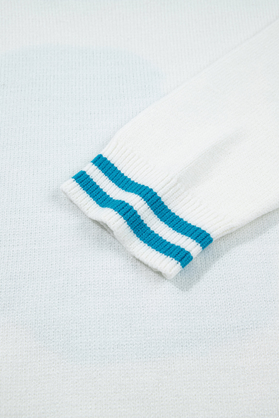 Light Blue Bulldog Contrast Trim Round Neck Casual Sweater