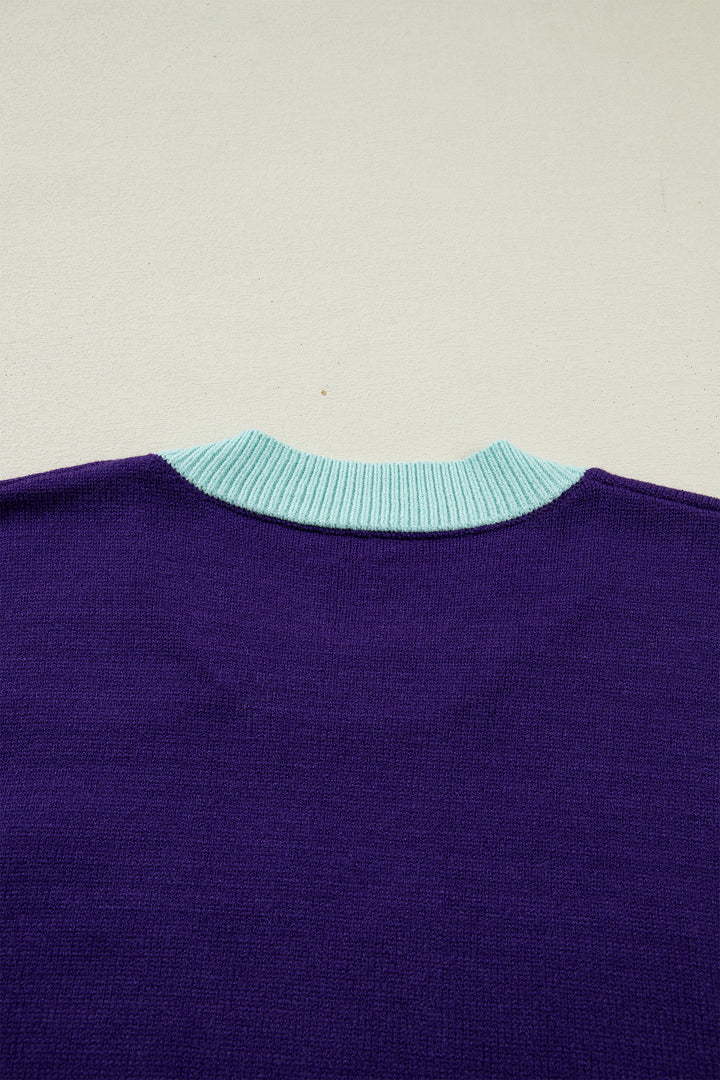 Tillandsia Purple Colorblock Patchwork Fuzzy Mardi Gras Graphic Sweater