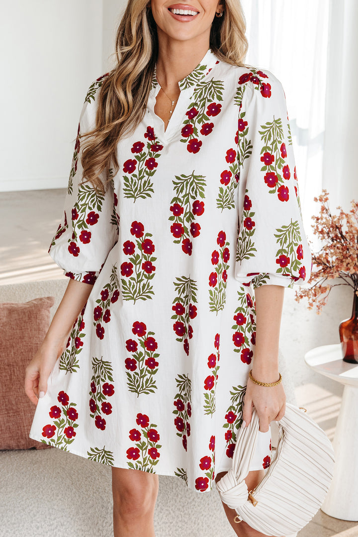 Floral Print V Neck 3/4 Sleeve Loose Mini Dress