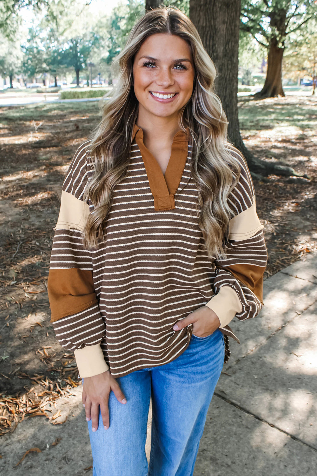 Brown Stripe Collar V Neck Color Block Detail Long Sleeve Pullover Top