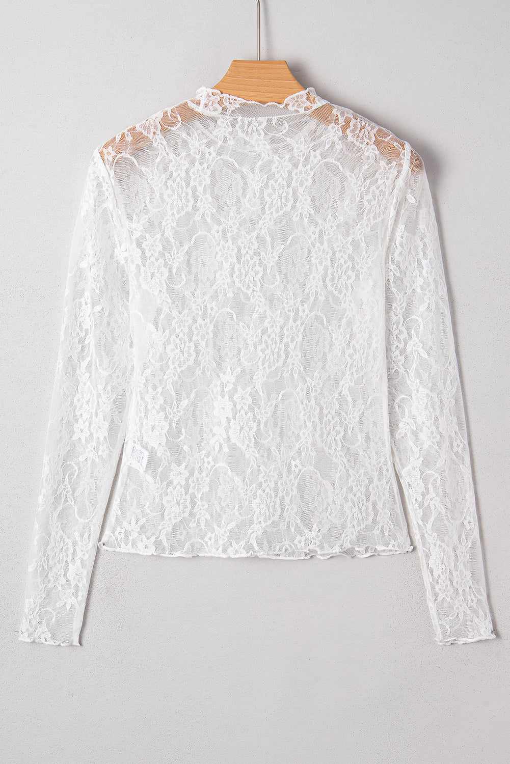 Sheer Lace Mesh Mock Neck Slim Fit Long Sleeve Top