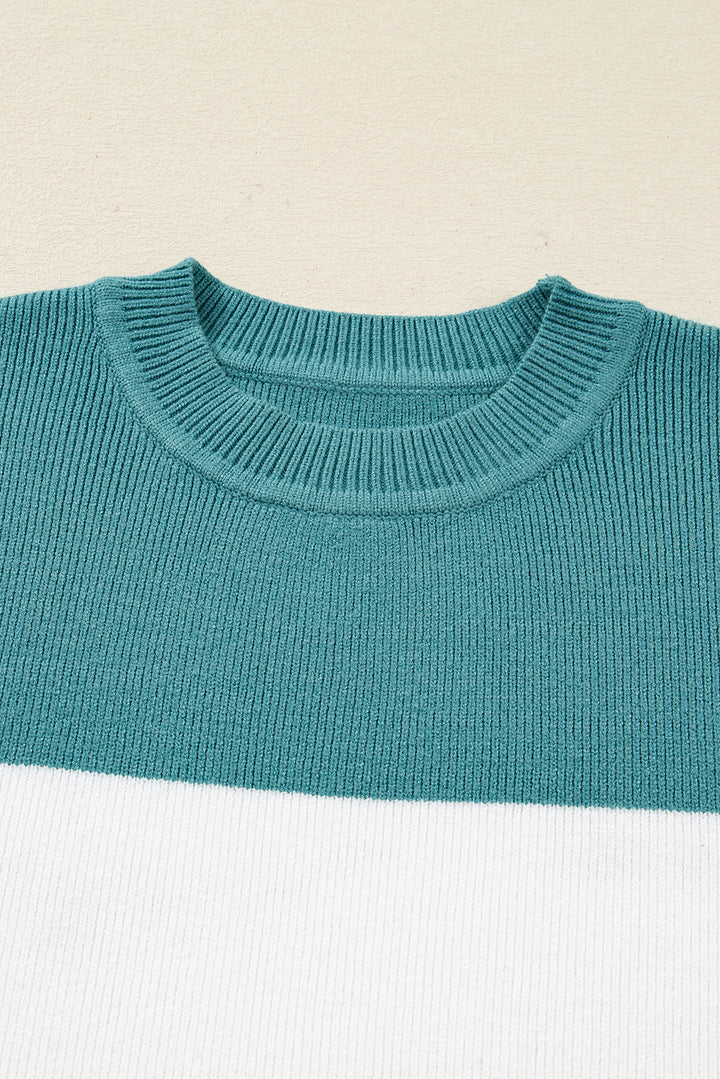 Color Block Plain Ribbed Knit Baggy Sweater