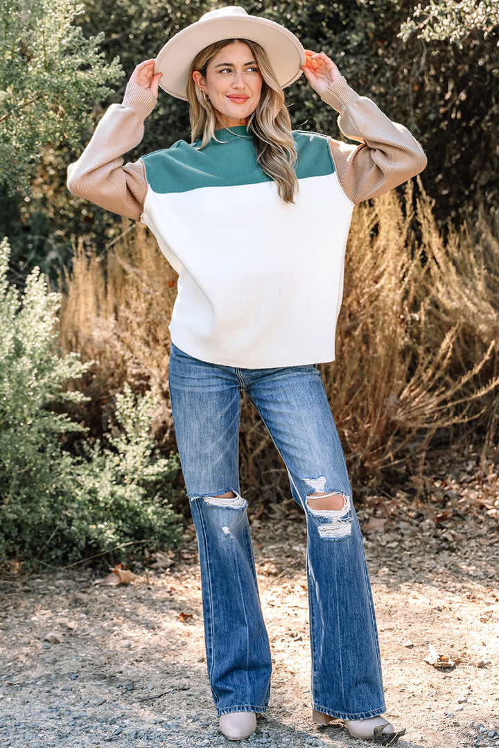 Color Block Plain Ribbed Knit Baggy Sweater