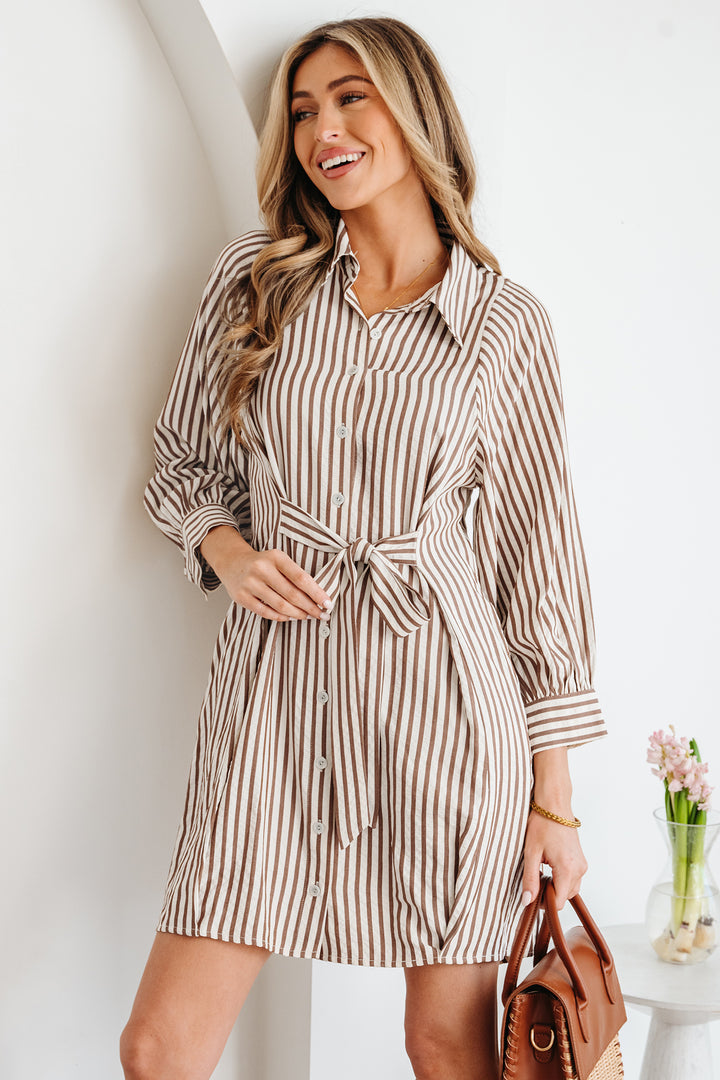 Knot Waist Puff Sleeve Button Down Mini Shirt Dress