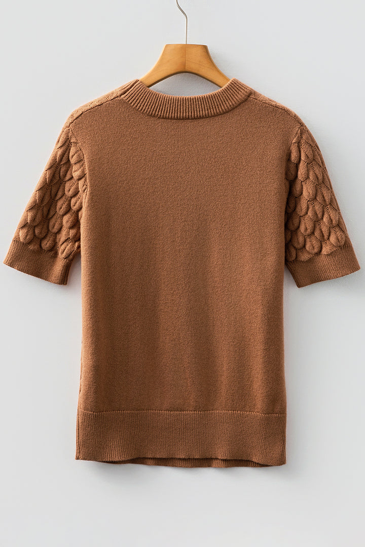 Fish Scale Textured Knit Ribbed Crew Neck Short Sleeve Sweater