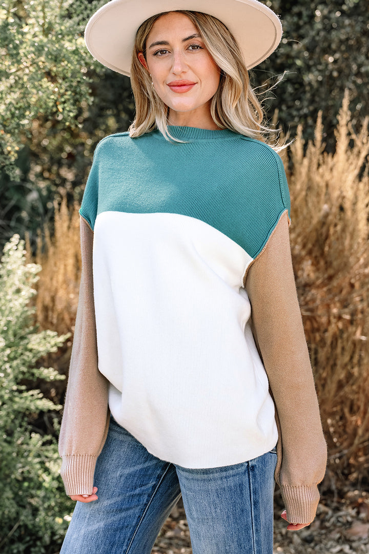 Color Block Plain Ribbed Knit Baggy Sweater