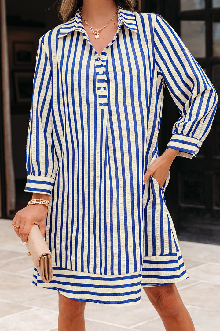 Collared Half Button Side Pockets Loose Fit Mini Dress
