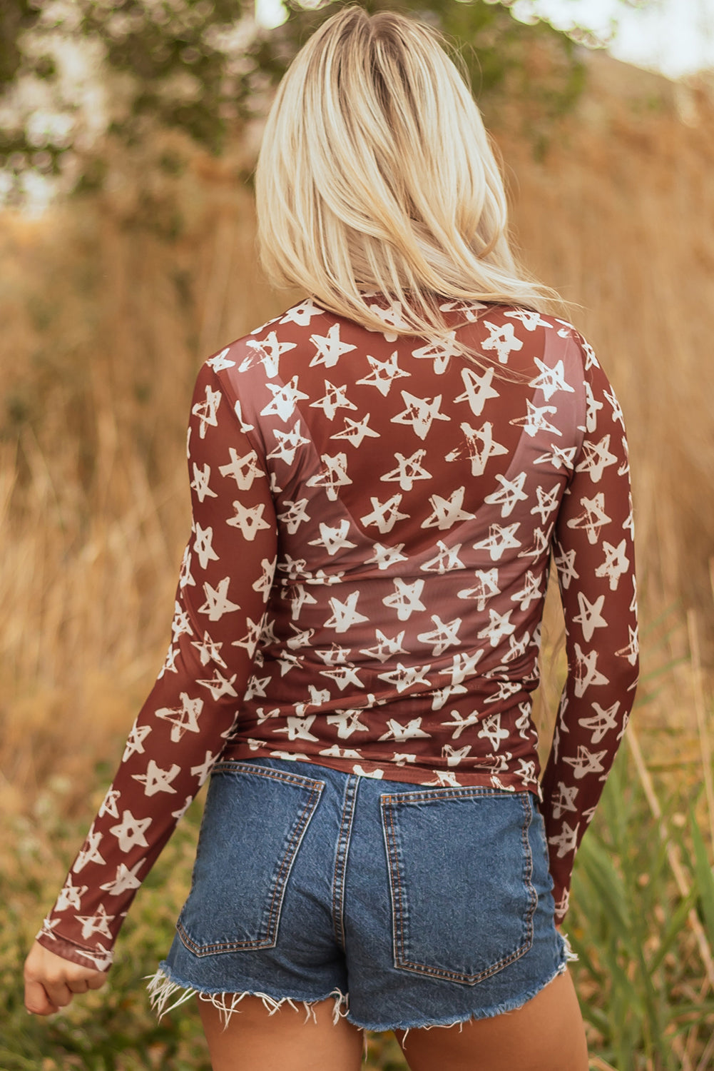 Mesh Star Print Mock Neck Sheath Long Sleeve Top