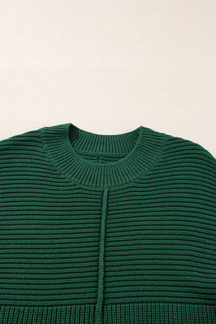 Textured Knit Crewneck Lantern Sleeve Sweater