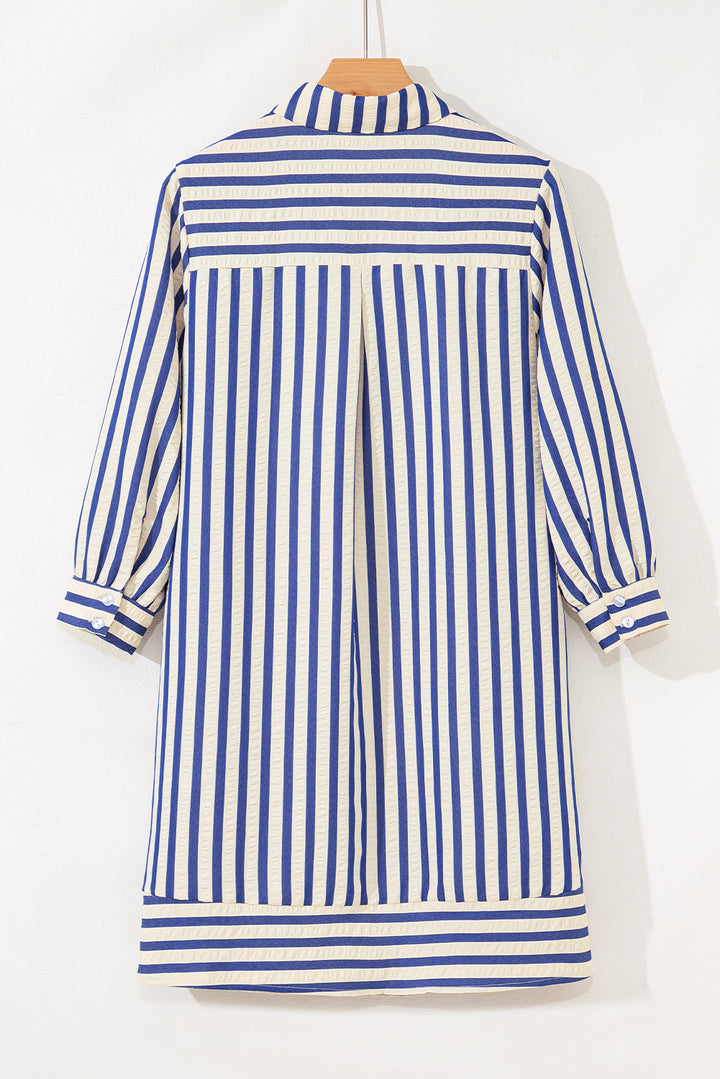 Collared Half Button Side Pockets Loose Fit Mini Dress