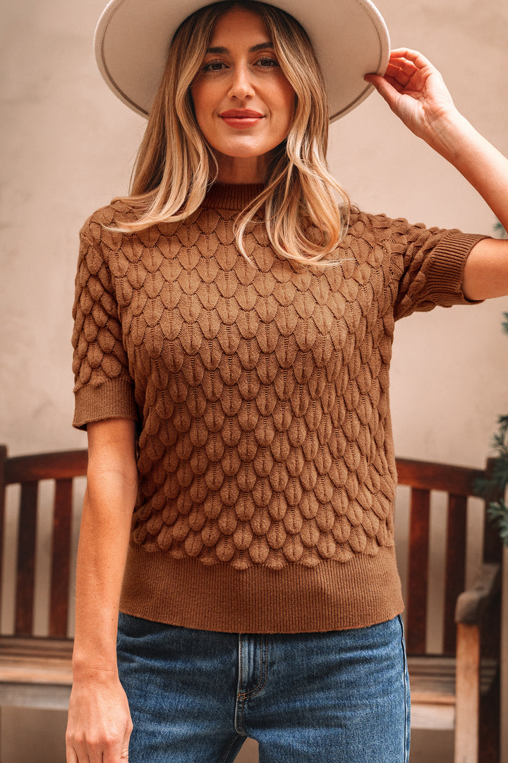 Fish Scale Textured Knit Ribbed Crew Neck Short Sleeve Sweater