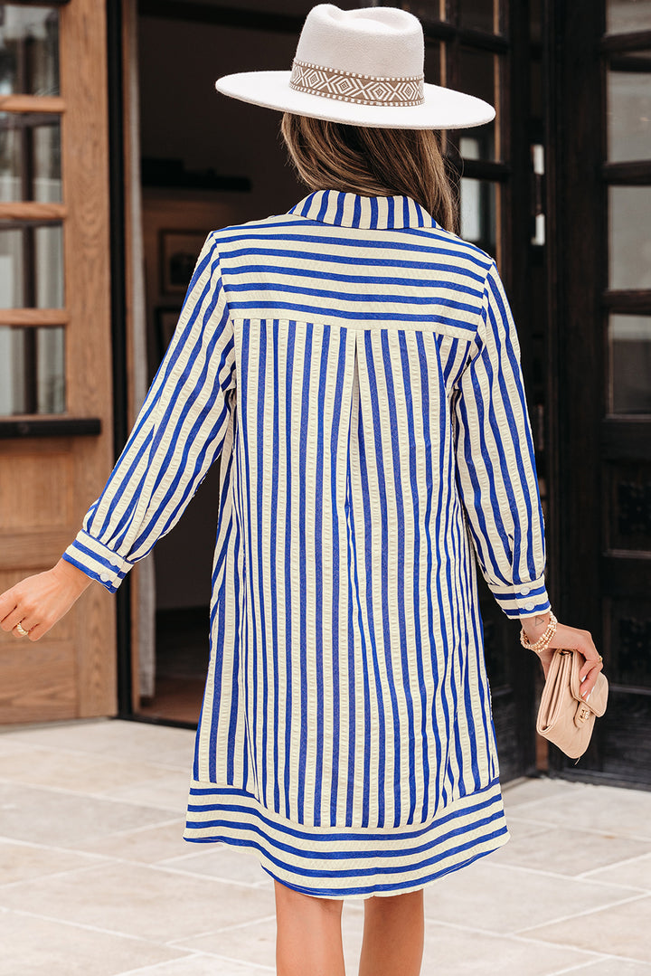 Collared Half Button Side Pockets Loose Fit Mini Dress