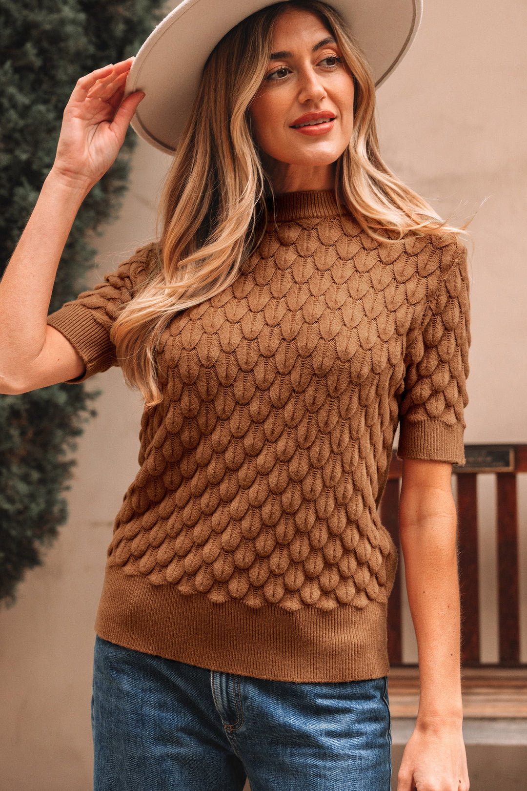 Fish Scale Textured Knit Ribbed Crew Neck Short Sleeve Sweater