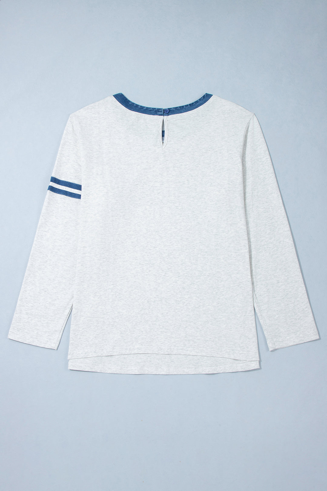 Gray Plus Size Colorblock Detail Round Neck Long Sleeve Top